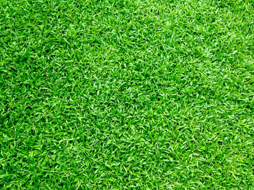 Artificial Grass Recyclers - Is Investing in Used Synthetic Grass the Right Option?
